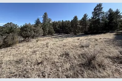 000 Canyon Road, Cotopaxi, CO 81223 - Photo 2