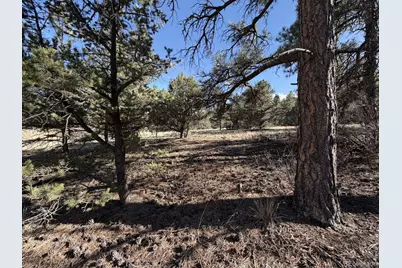 000 Canyon Road, Cotopaxi, CO 81223 - Photo 10