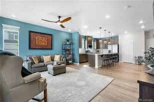 16351 Askins Loop, Parker, CO 80134 - Photo 12