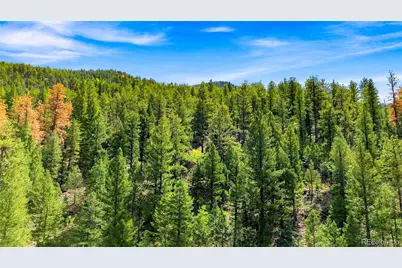 812 Soda Creek Road, Idaho Springs, CO 80452 - Photo 32