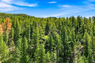 812 Soda Creek Rd, Idaho Springs, CO 80452 - Photo 32
