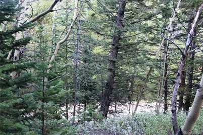 00 Gamble Gulch, Black Hawk, CO 80422 - Photo 4