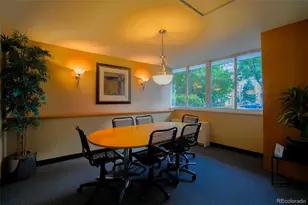 1196 N Grant Street, Denver, CO 80203 - Photo 14