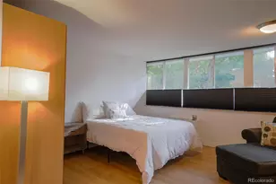 1196 N Grant Street, Denver, CO 80203 - Photo 6