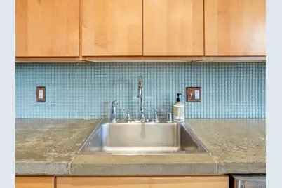 2955 Inca Street #3A, Denver, CO 80202 - Photo 14