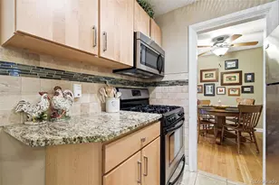 221 Oneida St, Denver, CO 80220 - Photo 8