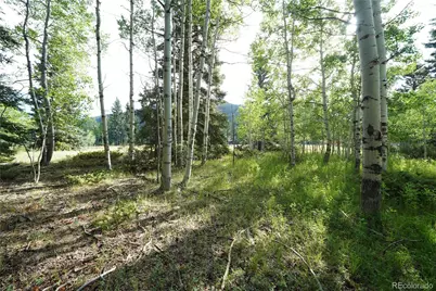 42 W Peregrine, Antonito, CO 81120 - Photo 10