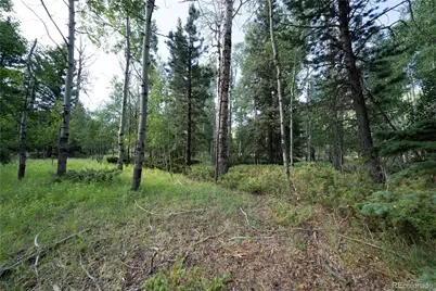 42 W Peregrine, Antonito, CO 81120 - Photo 6