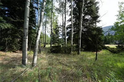 42 W Peregrine, Antonito, CO 81120 - Photo 8