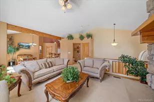 51 Cedar Ln, Bailey, CO 80421 - Photo 12