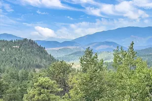 51 Cedar Ln, Bailey, CO 80421 - Photo 34