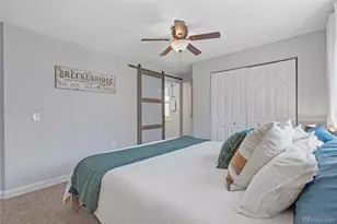 550 S French St, Breckenridge, CO 80424 - Photo 16