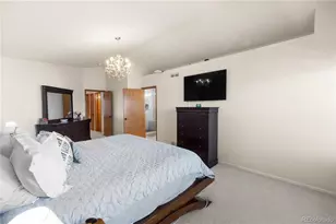 3164 White Oak St, Highlands Ranch, CO 80129 - Photo 36