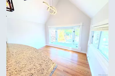 1107 N Downing Street, Denver, CO 80218 - Photo 22