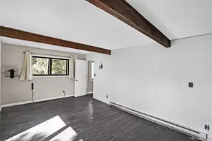277 Houston St, Bailey, CO 80421 - Photo 10