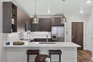20 Wilcox Street, Castle Rock, CO 80104 - Photo 6