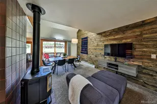 222 Co Rd 4421, Grand Lake, CO 80447 - Photo 16