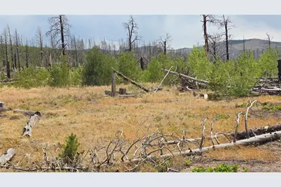 Lot 1177 Bechtel Place, Fort Garland, CO 81133 - Photo 16
