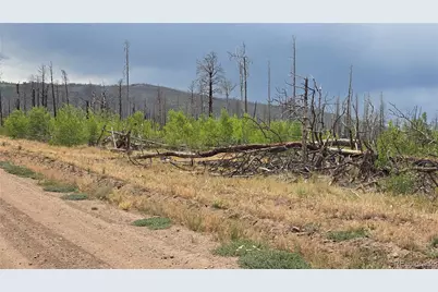 Lot 1177 Bechtel Place, Fort Garland, CO 81133 - Photo 20