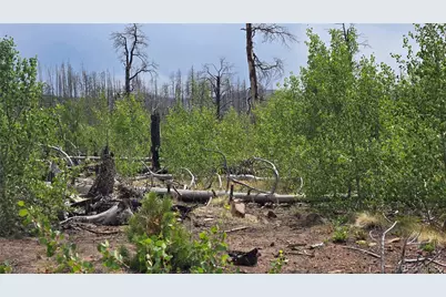 Lot 1177 Bechtel Place, Fort Garland, CO 81133 - Photo 12