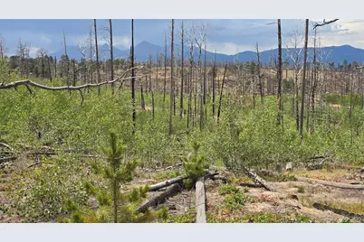 Lot 1177 Bechtel Place, Fort Garland, CO 81133 - Photo 14