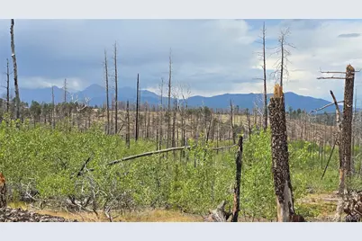 Lot 1177 Bechtel Place, Fort Garland, CO 81133 - Photo 10