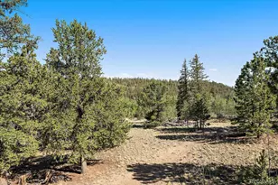 1720 Ute Trail, Como, CO 80432 - Photo 30