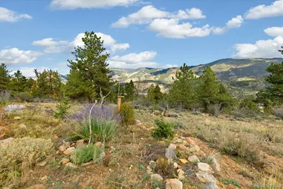 18492 Morrison Creek Circle, Buena Vista, CO 81211 - Photo 46