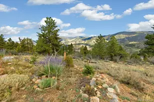 18492 Morrison Creek Cir, Buena Vista, CO 81211 - Photo 46