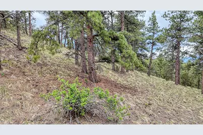 44 Honeysuckle Terrace, Westcliffe, CO 81252 - Photo 32