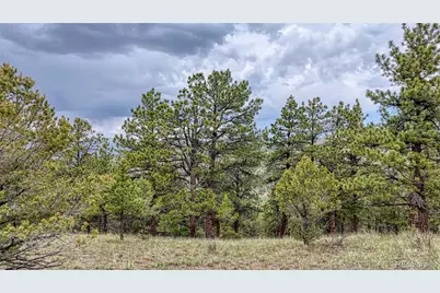 44 Honeysuckle Terrace, Westcliffe, CO 81252 - Photo 24