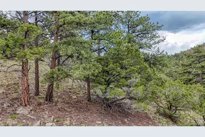 44 Honeysuckle Terrace, Westcliffe, CO 81252 - Photo 36