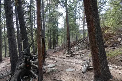 000 Loch Lomond Rd & Vista Rd, Idaho Springs, CO 80452 - Photo 16