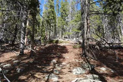 000 Loch Lomond Rd & Vista Rd, Idaho Springs, CO 80452 - Photo 10