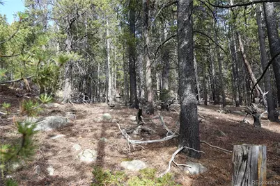 000 Loch Lomond Rd & Vista Rd, Idaho Springs, CO 80452 - Photo 26