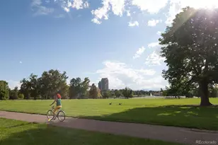 2539 N Lafayette St, Denver, CO 80205 - Photo 30