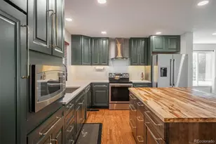 11672 Laurel Ln, Parker, CO 80138 - Photo 6