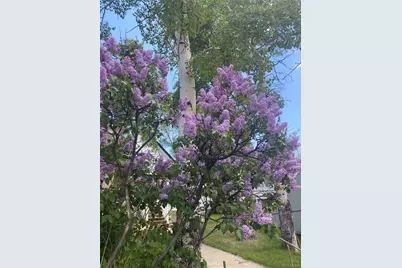 202 E 1st High Street, Central City, CO 80427 - Photo 40