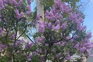 202 E 1st High St, Central City, CO 80427 - Photo 40