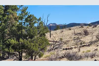 Tbd L I Path, Cotopaxi, CO 81223 - Photo 28