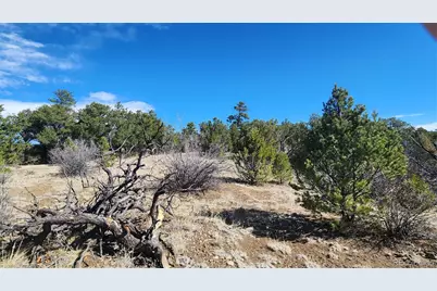 Tbd L I Path, Cotopaxi, CO 81223 - Photo 18