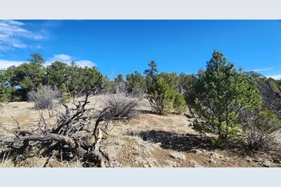Tbd L I Path, Cotopaxi, CO 81223 - Photo 16