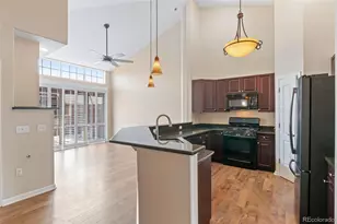 8540 Gold Peak Ln, Highlands Ranch, CO 80130 - Photo 14