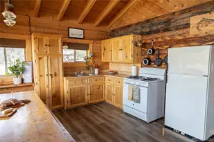 1001 County Road 17, Lake City, CO 81235 - Photo 4