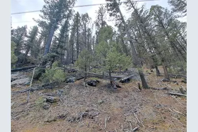 1077 Roland Drive, Bailey, CO 80421 - Photo 2