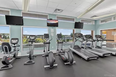 5365 Gray Wolf Lane, Castle Rock, CO 80104 - Photo 46