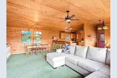 469 Eagle Trail, Bailey, CO 80421 - Photo 16