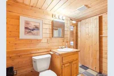 469 Eagle Trail, Bailey, CO 80421 - Photo 34