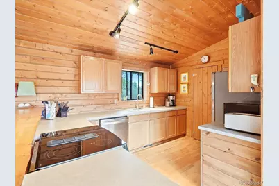 469 Eagle Trail, Bailey, CO 80421 - Photo 8