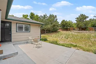 435 Dione Pl, Lone Tree, CO 80124 - Photo 28